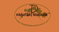 ferienbauernhof-rangau-kraeuter.png
